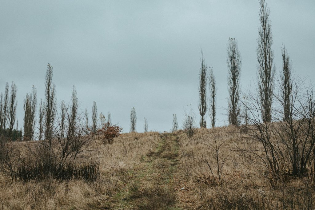 Setor Energético na Polônia: As Principais Empresas que Estão Contratando - Melhores oportunidades de emprego na Polonia