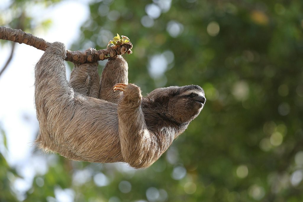 Setor de Varejo em Ascensão: Oportunidades Empregatícias na Holdina, Konzum e TROPIC Maloprodaja - Melhores oportunidades de emprego em Bósnia e Herzegovina