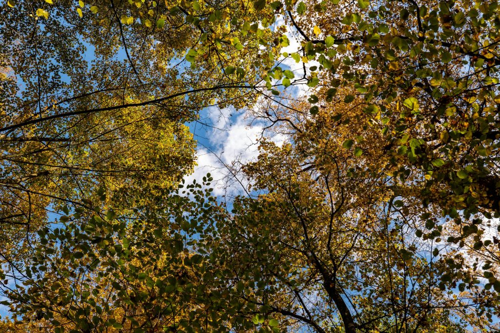 Desvendando o Mercado de Trabalho na Croácia: Oportunidades em Setores Chave como HEP e Hrvatska pošta - Melhores oportunidades de emprego na Croácia