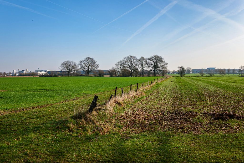 TF Bank Gold na Alemanha: Limites de Crédito e Vantagens que Você Não Pode Ignorar - Limite inicial do TF Bank Gold na Alemanha: quanto você pode receber
